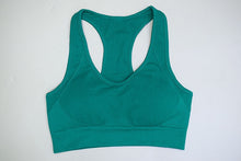 Load image into Gallery viewer, Body Shinny Green